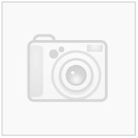 Bislett Volley Rygglogo N Transfermerke 250 mm x 36 mm